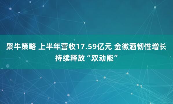 聚牛策略 上半年营收17.59亿元 金徽酒韧性增长持续释放“双动能”