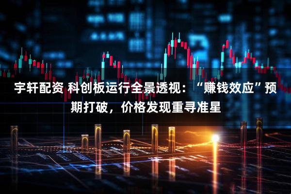 宇轩配资 科创板运行全景透视：“赚钱效应”预期打破，价格发现重寻准星