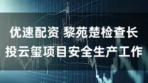 优速配资 黎苑楚检查长投云玺项目安全生产工作